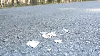 Crushing Crunchy & Soft Things by Car! EXPERIMENT CAR vs Orbeez Balloons