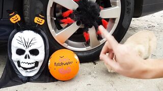 Crushing Crunchy & Soft Things by Car!   EXPERIMENTS  HALLOWEEN TOYS AND BABY CAT VS CAR TEST