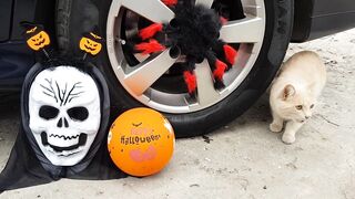 Crushing Crunchy & Soft Things by Car!   EXPERIMENTS  HALLOWEEN TOYS AND BABY CAT VS CAR TEST