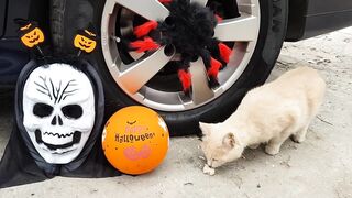 Crushing Crunchy & Soft Things by Car! - EXPERIMENTS : HALLOWEEN TOYS AND BABY CAT VS CAR TEST