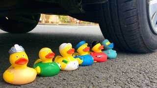 Crushing Crunchy & Soft Things by Car! Experiment CAR vs DUCK FAMILY (Toys)