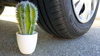 Experiment CAR vs CACTUS | Crushing Crunchy & Soft Things by Car