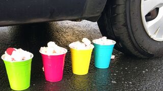 EXPERIMENT: ICECREAM VS CAR | Crushing Crunchy & Soft Things by Car