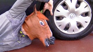 Experiment Car vs Horse Head Mask | Crushing Crunchy & Soft Things by Car!