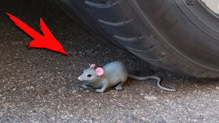 Car vs Mouse - Crushing Crunchy & Soft Things by Car | Satisfying ASMR Video