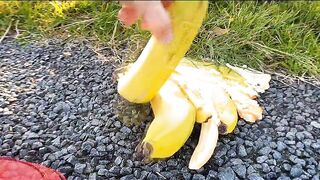 CAR vs GIANT SPIDER Experiment | Crushing Crunchy and Soft Things By Car! (CCASTBC)