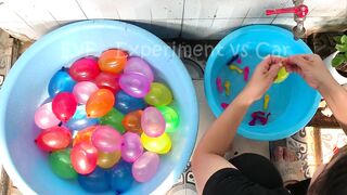 Experiment Car vs Water in Color Balloons | Crushing Crunchy & Soft Things by Car | EvE