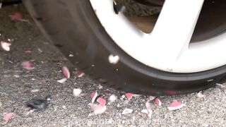 Crushing Crunchy & Soft Things by Car - Satisfying videos Compilation