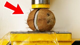 Coconut VS Hydraulic Press - " The Smasher Show "