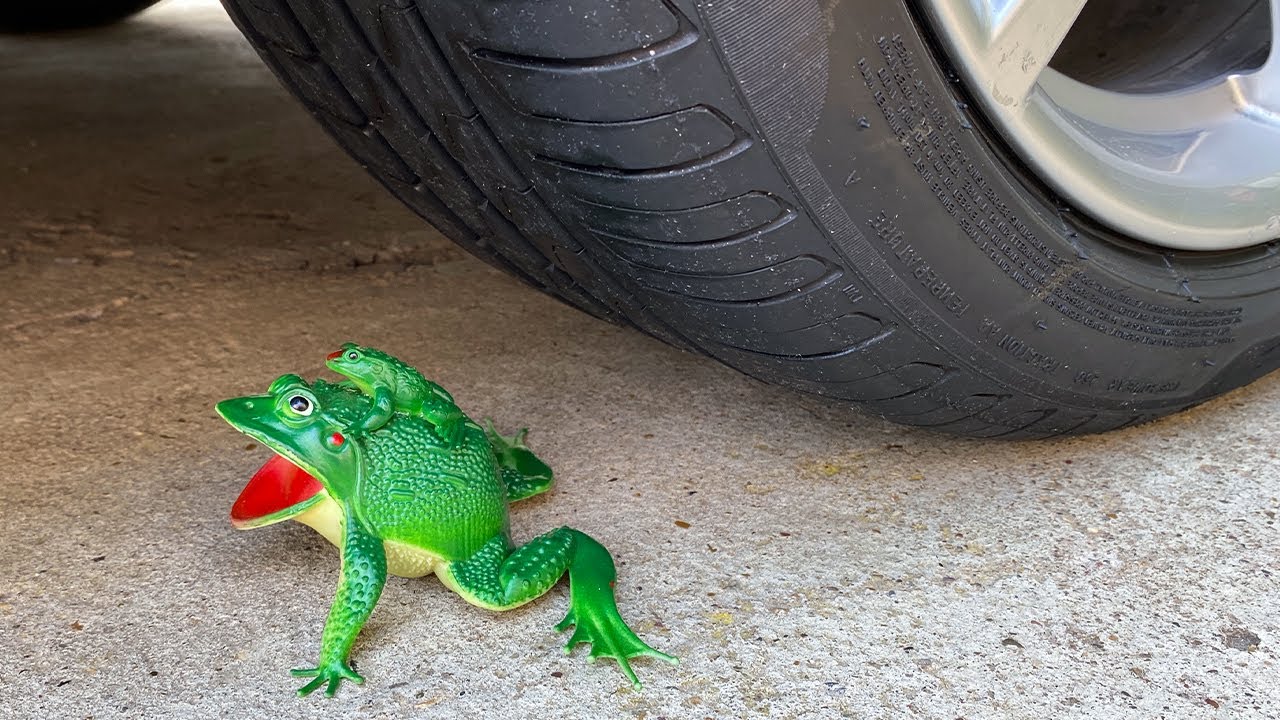 Crushing Crunchy & Soft Things by Car! Experiment Car vs Frog
