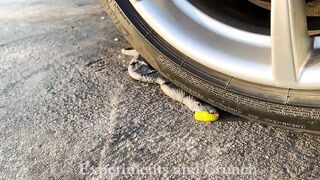 Crushing Crunchy & Soft Things by Car! EXPERIMENT CAR vs Snake (TOY)