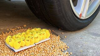 Experiment Car vs Baby Chickens - Crushing Crunchy & Soft Things by Car!