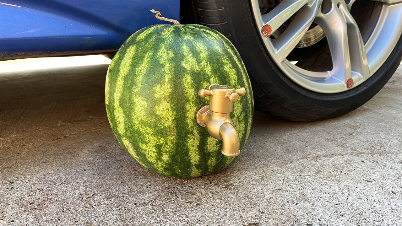 squish melon