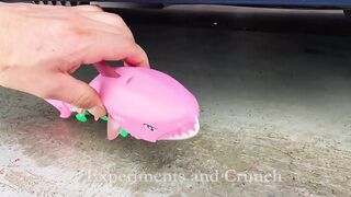 Experiment Car vs Shark - Crushing Crunchy & Soft Things by Car
