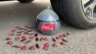 Crushing Crunchy & Soft Things by Car! Experiment Car vs Coca, Fanta, Pepsi, Sprite vs Balloons #115