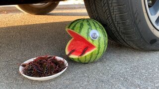 Crushing Crunchy & Soft Things by Car! Experiment Car vs vs Watermelon vs Insect vs Bug | Satisfying
