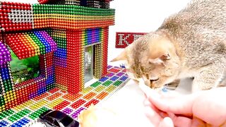 Build Amazing KFC Shop Fish Tank Aquarium With Magnetic Balls (Satisfying) - Magnetic Cube