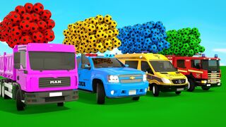 Bingo Song + The Wheels on The Bus Song, Baby cars and soccer balls-Baby Nursery Rhymes & Kids Songs