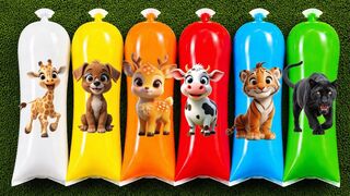 FINDING Animals: Cow, Black Panther, Puppy, Deer, Tiger, Wolf, Sheep, Giraffe, Zebra, Gorilla & Elephant