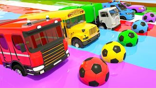 Wheels on the Bus + Five Little Monkeys Song | Color Balls | Baby Nursery Rhymes & Kids Songs