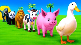 Learn Colors with Duck, Pig, Cow, Lion and Panda