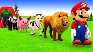 Learn Colors with Mario, Hulk and Funny Animals