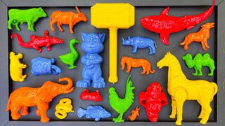 Colorful Toy Wash & Reveal for Kids
