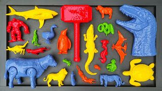 Learn Colors & Wash Surprise Toys