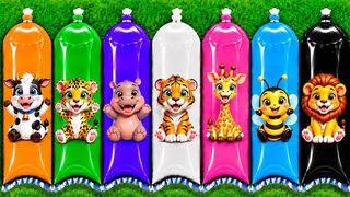 Colorful Water Balloons with Surprise Animals | Learn Colors for Kids
