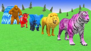 Learn Animal Colors – Fun Kids Color Game