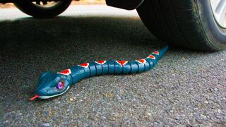 Crushing Crunchy & Soft Things by Car! - EXPERIMENT Plastic Snake vs Car