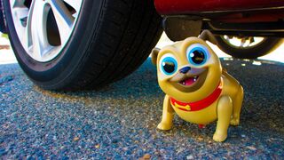 Crushing Crunchy & Soft Things by Car! - Toy Dog vs Car