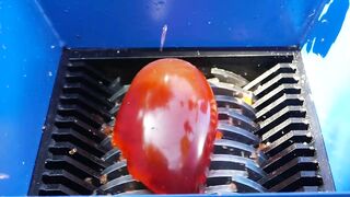 JELLY BALL VS FAST SHREDDER!