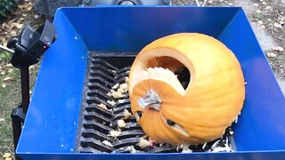You Won't Believe What Happened with this Creepy Halloween Pumpkin!