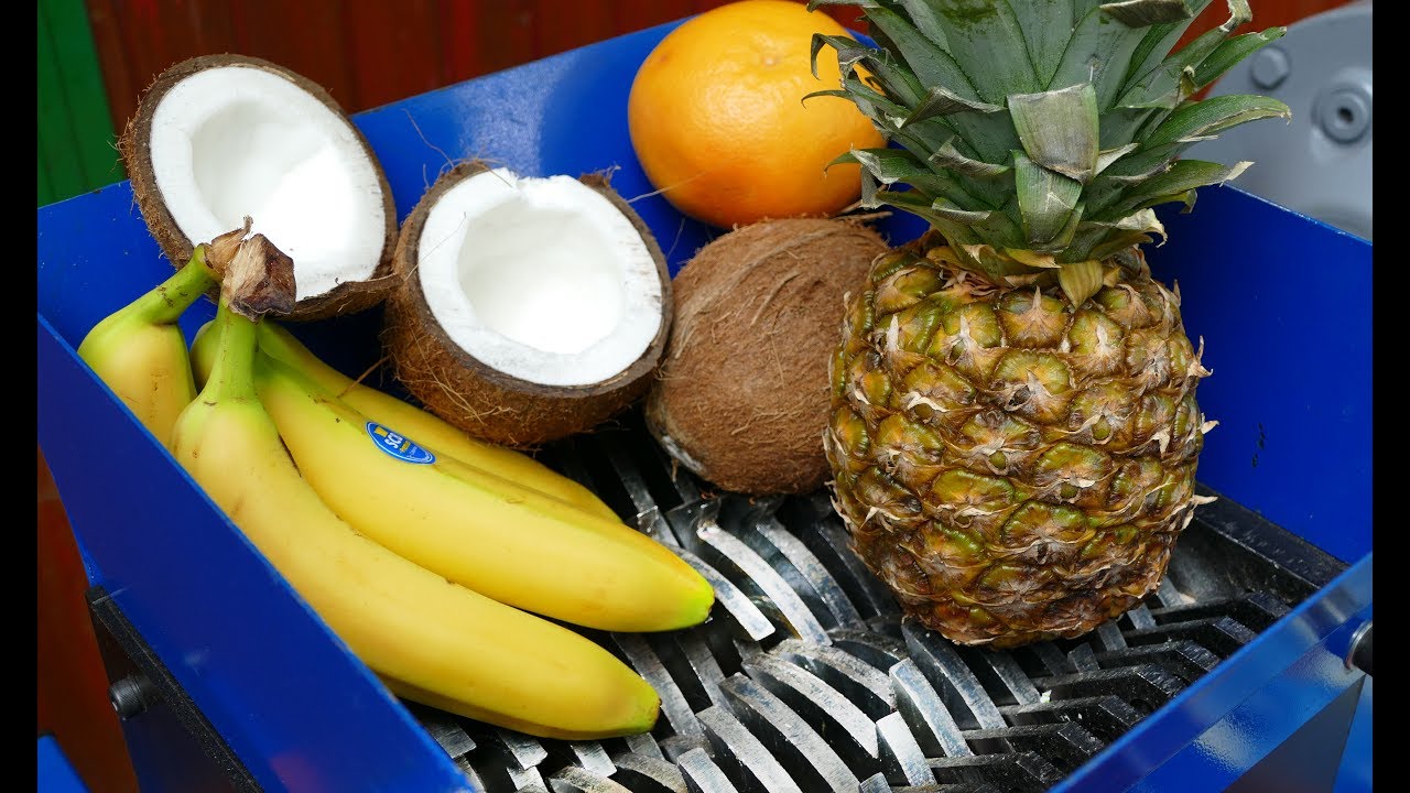 Shredding, shredding, shredding coconut, shredding fruits, coconut, pineapp...