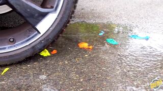 Experiment Car vs Gummy Jelly | Crushing Crunchy & Soft Things by Car!