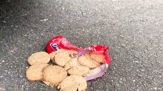 EXPERIMENT: SMARTPHONE VS CAR - Crushing Crunchy & Soft Things by Car!