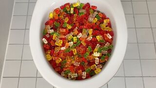 Will it Flush? - Gummy Bears
