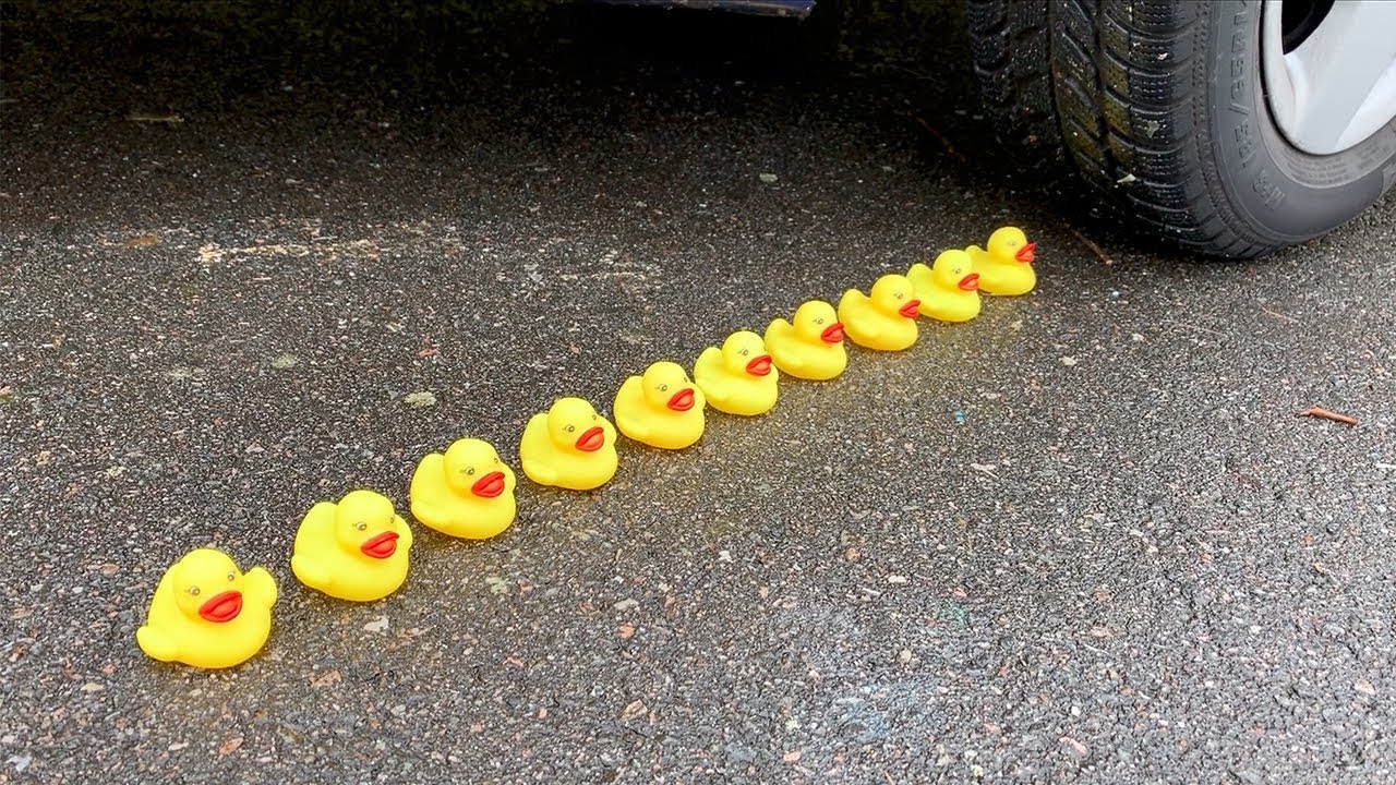 10 RUBBER DUCKS vs CAR