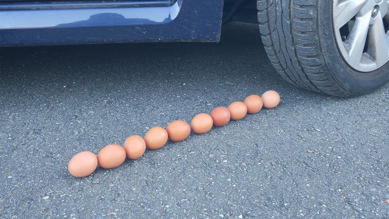 10 EGGS vs CAR