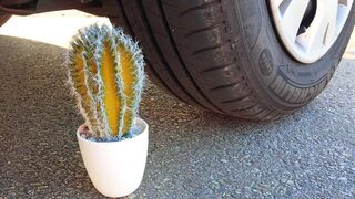 Crushing Crunchy & Soft Things by Car! EXPERIMENT: CAR VS CACTUS