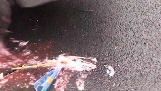 Crushing Crunchy & Soft Things by Car! EXPERIMENT CAR vs Water in Colors