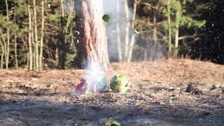 Experiment: Firecracker vs Watermelon vs Eggs