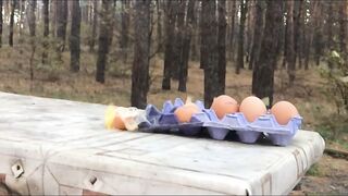 Eggs damage tests by Airgun