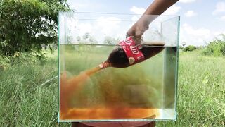Crushing Crunchy & Soft Things by Car -EXPERIMENTS: COCA COLA VS MENTOS UNDERWATER -CAR VS TOYS