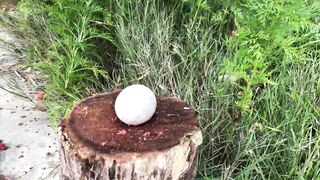 Crushing Crunchy & Soft Things by Car -EXPERIMENTS: CAR VS WATERMELON, JELLY. DART VS BALLON.