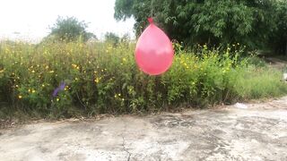 Crushing Crunchy & Soft Things by Car -EXPERIMENTS: CAR VS WATERMELON, JELLY. DART VS BALLON.