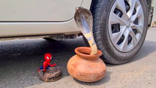 Crushing Crunchy & Soft Things by Car! EXPERIMENT: CAR vs FOREST BLACK COBRA, SPIDERMAN