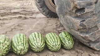 Experiment: Watermelons vs Caterpillar