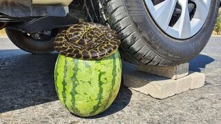 Crushing Crunchy & Soft Things by Car! EXPERIMENT CAR vs WATERMELON TEST